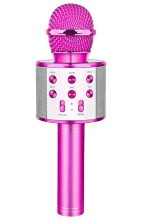 Ws-858 02 Karaoke Mikrofon Aux Usb Ve Sd Kart Girişli Bluetooth PEMBE